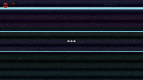 周末随拍记录 - 风流家族 原创视频
